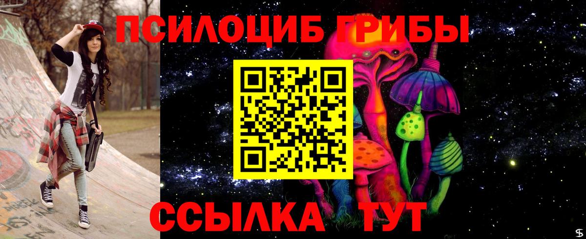 Галлюциногенные грибы Psilocybine cubensis Унеча