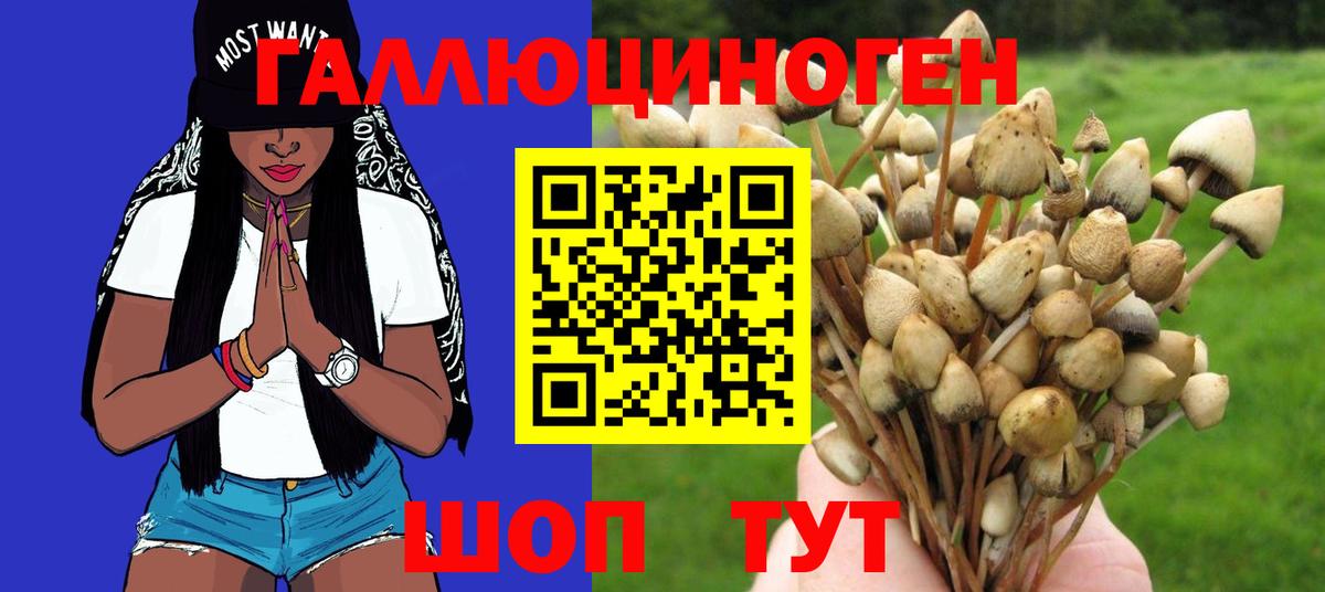 Псилоцибиновые грибы мухоморы  Вход с VPN  цена наркотик  Унеча 